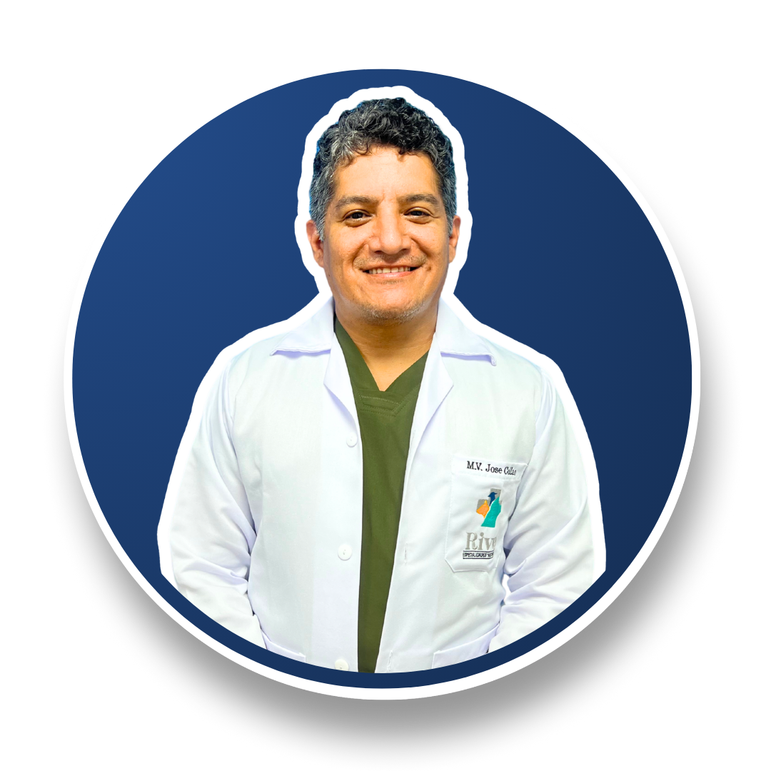 Dr