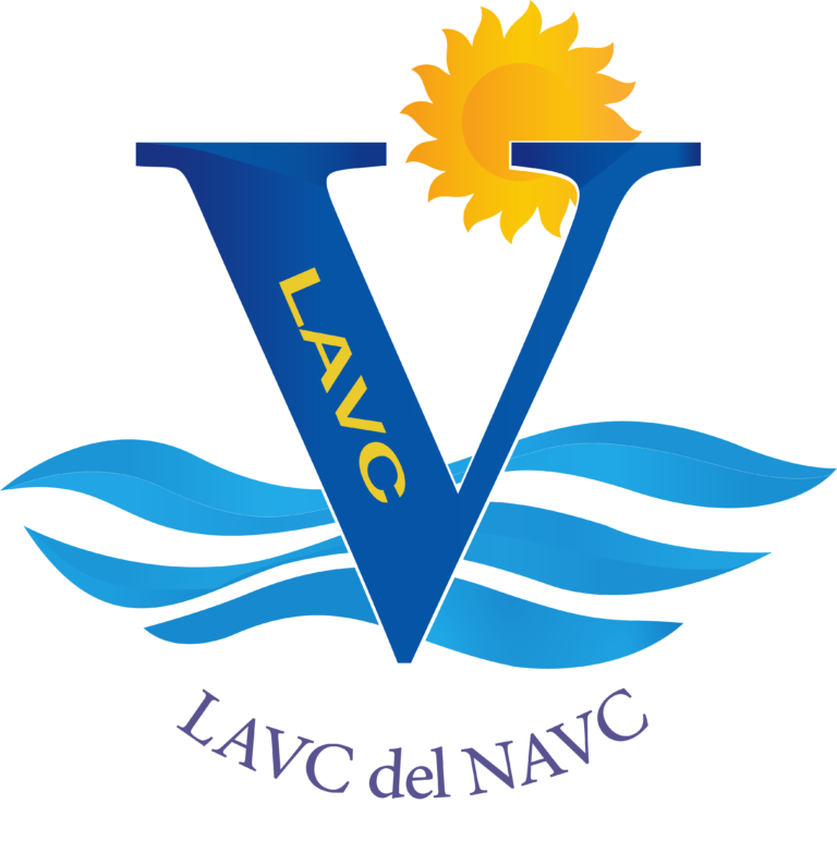 LOGO1 LAVCRecurso 1@4x